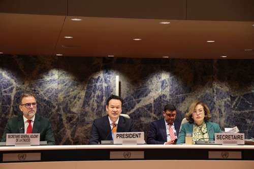 เวียดนามเป็นประธานการประชุมครั้งที่ 14 ของคณะกรรมการการลงทุน สถานประกอบการและการพัฒนาของ UNCTAD - ảnh 1