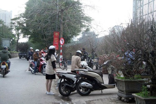 Hanoi's streets flooded by wild peach blossoms as Tet approaches - ảnh 2