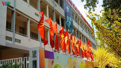 Tet decorations spring up on streets across HCM City - ảnh 9