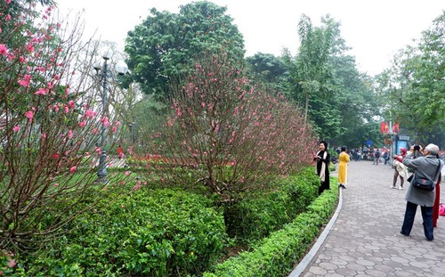 Hanoi covered in festive decorations to celebrate Tet - ảnh 5