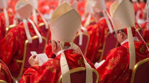 Cardinals begin conclave to elect the next pope - ảnh 1