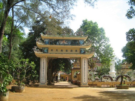 Touring scenic spots in Quang Ngai - ảnh 2