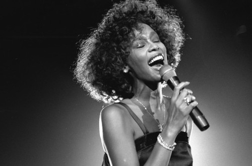 Documentary on Whitney Houston to premier - ảnh 1