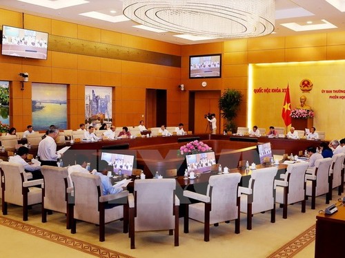 NA Standing Committee debates revised Competition Law  - ảnh 1