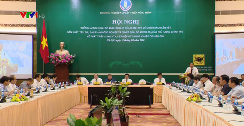 Conference on promoting cooperative economy convened - ảnh 1