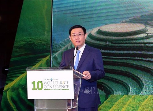 Vietnam busca mejorar calidad y valor de su arroz - ảnh 1
