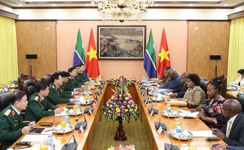  Vietnam, South Africa agree to maintain defense policy dialogue - ảnh 1