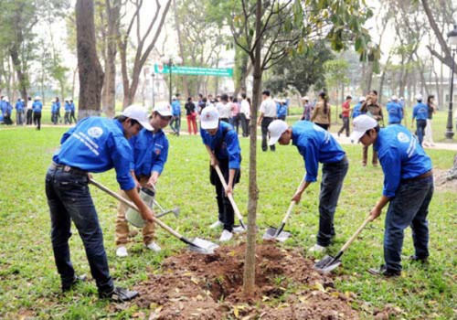 Tree planting festival 2020 to be launched - ảnh 1