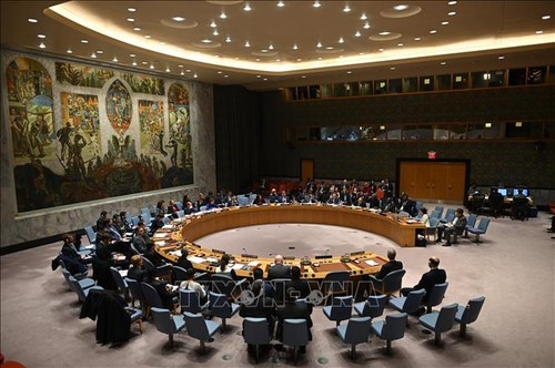 UNSC discusses Kosovo mission’s operation - ảnh 1