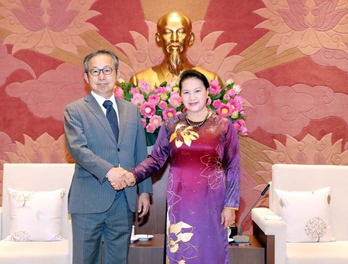 Top legislator receives Japanese ambassador - ảnh 1
