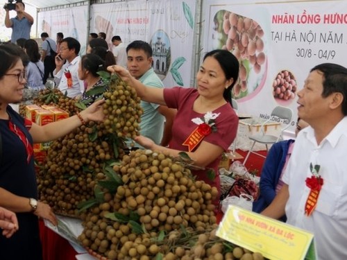 Hung Yen promotes sales of agricultural products - ảnh 1