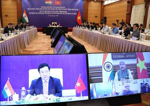 Vietnam, India hold 17th Joint Commission’s meeting - ảnh 1
