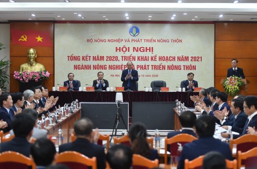 Vietnam’s agriculture targets 3% growth in 2021 - ảnh 1