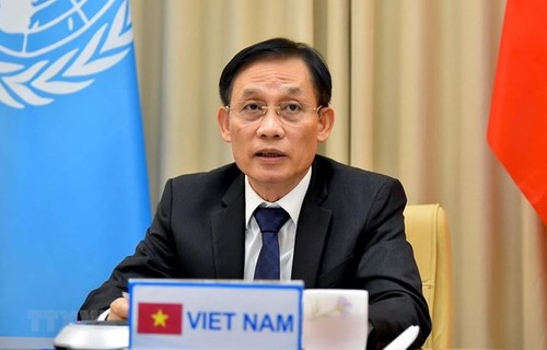 Vietnam prioritises cooperation between UN, regional organisations - ảnh 1