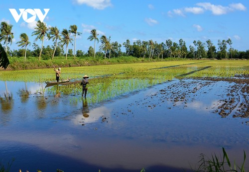 Mekong River Delta moves toward prosperity, sustainability - ảnh 1