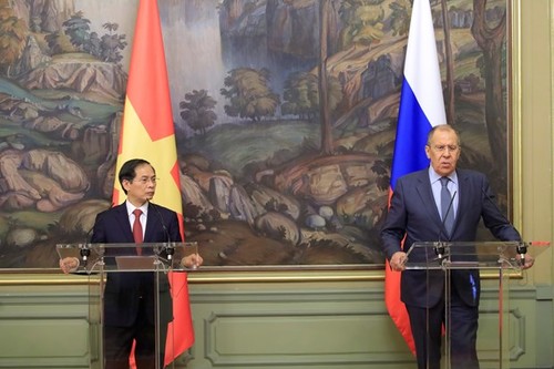 Vietnam - Russia partnership keeps developing dynamically: FMs - ảnh 1