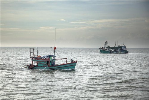 Vietnam contributes to ASEAN's maritime forums   - ảnh 1