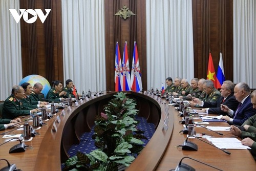 Vietnamese, Russian defence ministers hold talks - ảnh 1