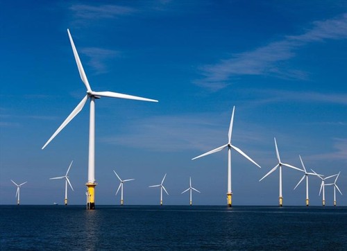 Offshore wind power promoted for Vietnam’s clean energy future - ảnh 1