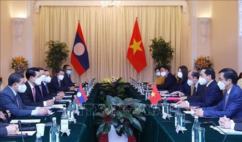 Vietnamese, Lao foreign ministers co-chair 8th political consultation - ảnh 1