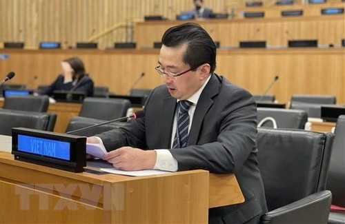 UN Charter - important basis for int’l community’s actions: Vietnamese Ambassador - ảnh 1