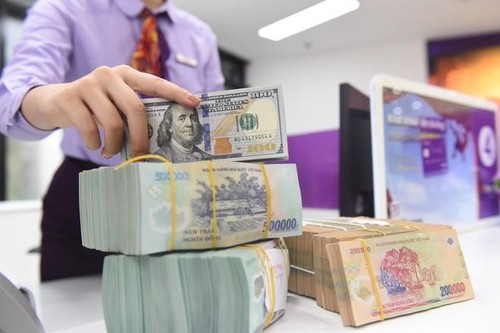 Vietnam’s foreign currency reserve hits a record high - ảnh 1