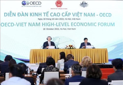 OECD strengthens economic cooperation with Vietnam - ảnh 1