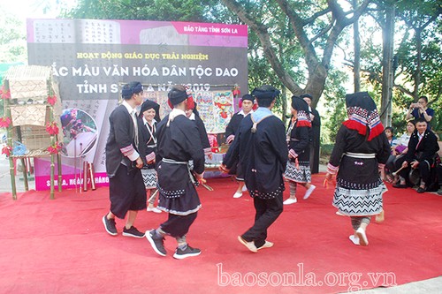 Soft power of Vietnamese culture promoted - ảnh 2