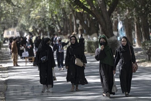 Taliban suspend university education for women in Afghanistan - ảnh 1