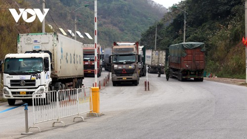 Northern border gates busy after China reopens - ảnh 1