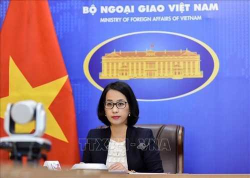Vietnam has sufficient evidence to affirm its sovereignty over Truong Sa, Hoang Sa islands - ảnh 1