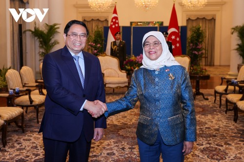Prime Minister meets Singaporean President - ảnh 1