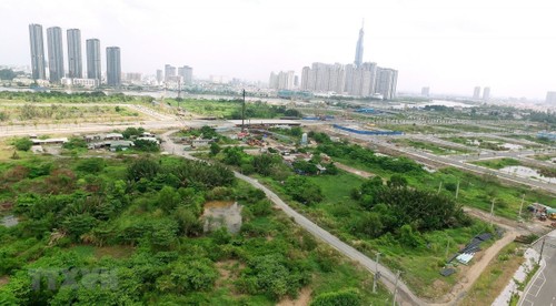 Draft revised Land Law expands land rights of overseas Vietnamese - ảnh 1