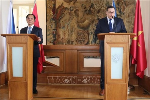 Vietnam treasures friendship, comprehensive cooperation with Czech Republic: FM - ảnh 1