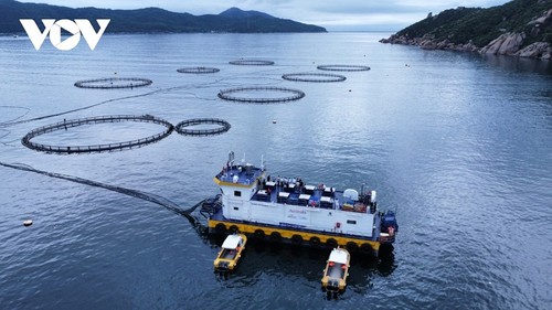 Vietnam aims at sustainable marine economy - ảnh 1