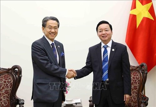 Vietnam, Japan step up cooperation in energy transition - ảnh 1