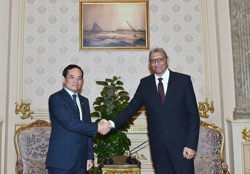 Vietnam wants to strengthen multifaceted cooperation with Egypt, says Deputy PM - ảnh 2