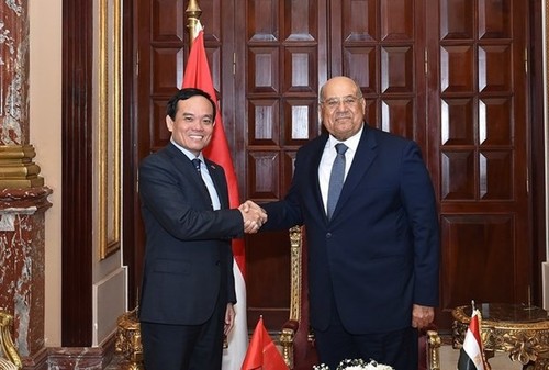 Vietnam wants to strengthen multifaceted cooperation with Egypt, says Deputy PM - ảnh 1