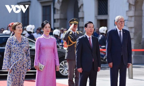 New momentum for Vietnam’s ties with Austria, Italy, the Vatican - ảnh 1