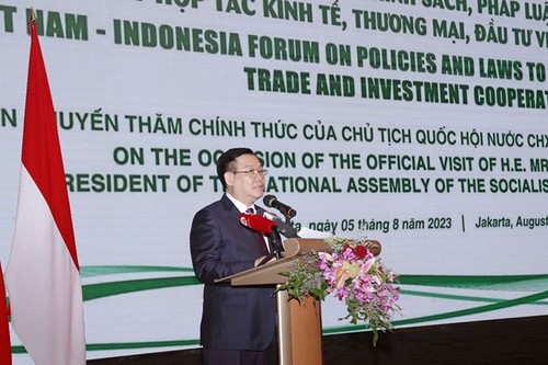 Vietnam, Indonesia have great potential for stronger cooperation in trade, investment - ảnh 1