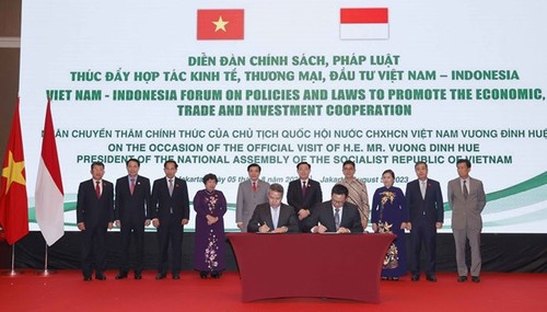 Vietnam, Indonesia have great potential for stronger cooperation in trade, investment - ảnh 2