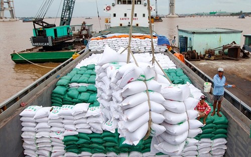Opportunities seized to boost Vietnam’s rice export - ảnh 1