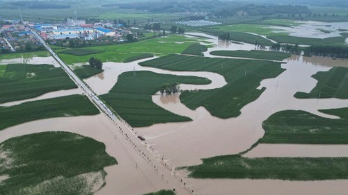 China floods hit rice, corn crops, trigger food inflation worries - ảnh 1
