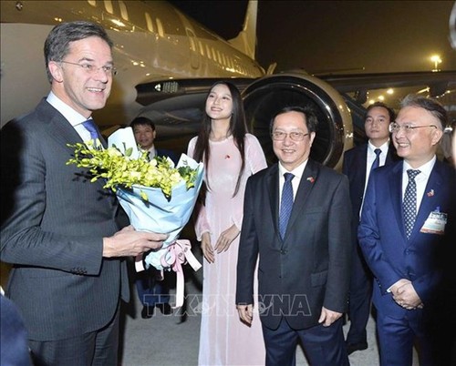 Dutch Prime Minister begins official visit to Vietnam - ảnh 1