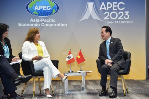 Vietnam, Peru vow stronger bilateral cooperation  - ảnh 1