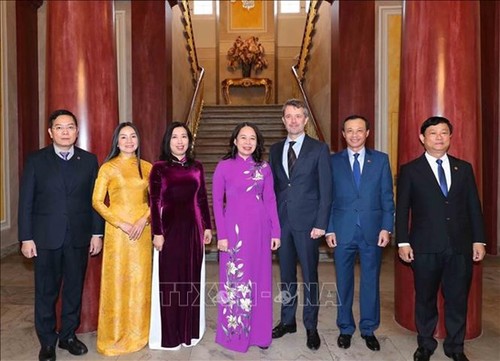 Vice President meets with Denmark’s Crown Prince - ảnh 1