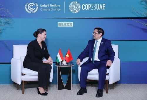 COP28: PM holds bilateral meetings with leaders of countries, international  - ảnh 2