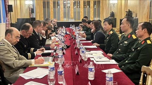 Vietnam, France hold defense strategy and cooperation dialogue - ảnh 1