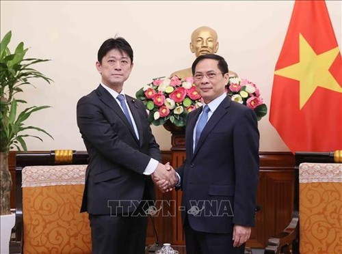Foreign Minister lauds progress of Vietnam - Japan cooperation - ảnh 1