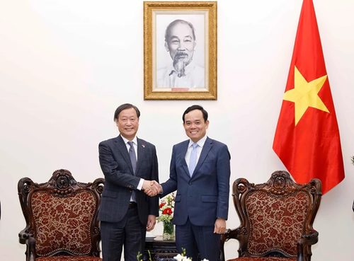 Deputy PM hosts JICA Executive Senior Vice President - ảnh 1